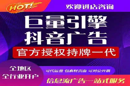 SEM搜索引擎优化：广告创意的策划与执行